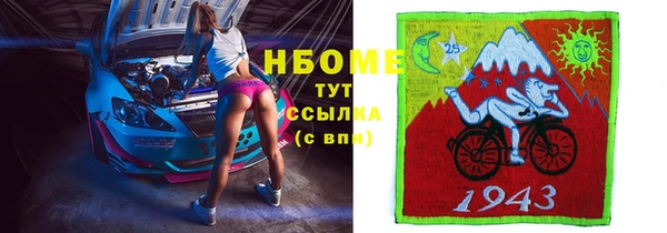 индика Алексин