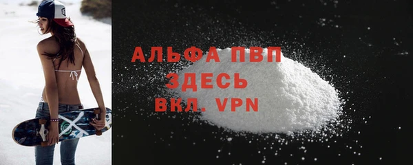 индика Алексин