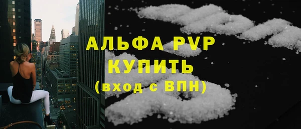 индика Алексин