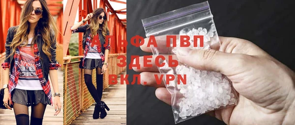 индика Алексин