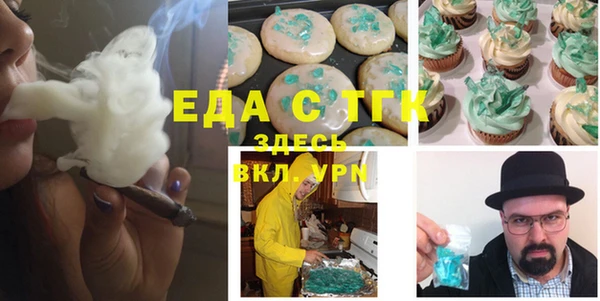 индика Алексин