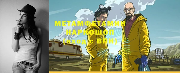 индика Алексин